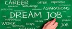 dream job 